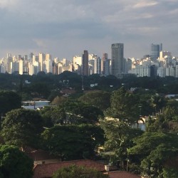 cabinet frayre a sao paulo bresil avec le monaco economic board 4